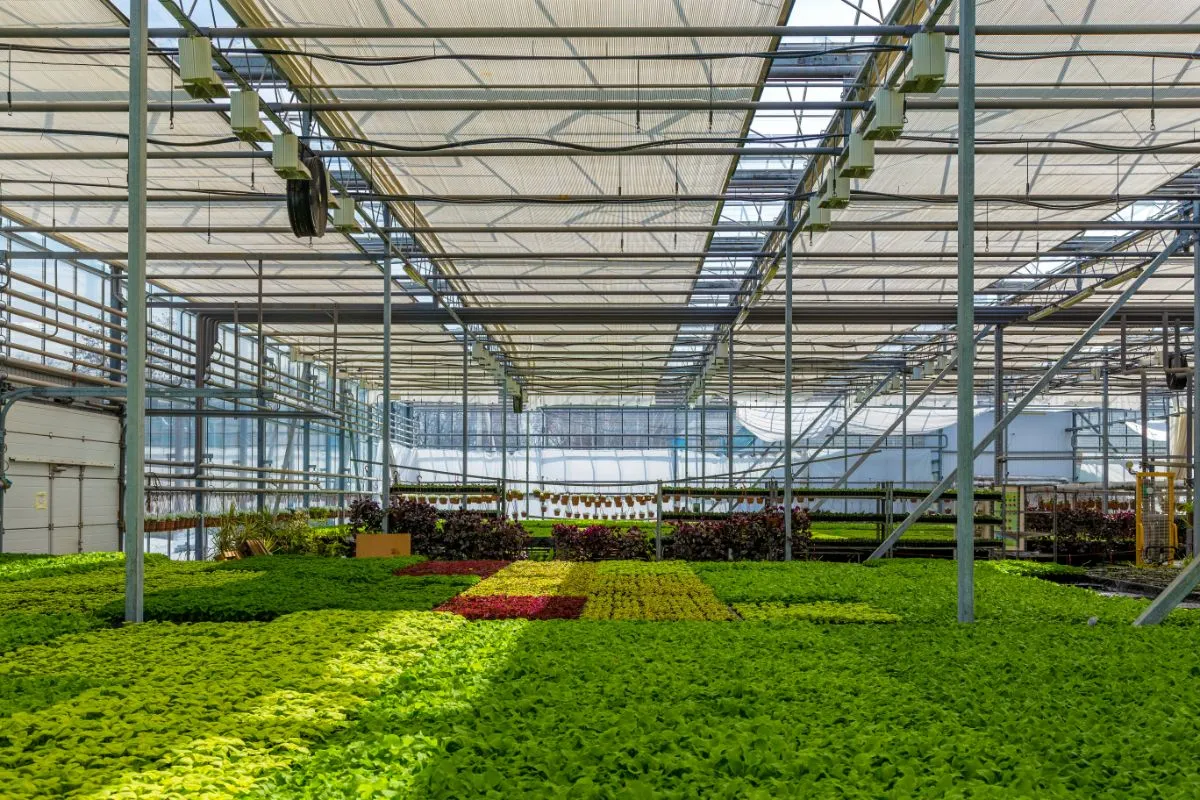 Agriculture barn